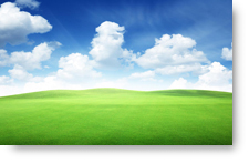 Sky and Meadow background